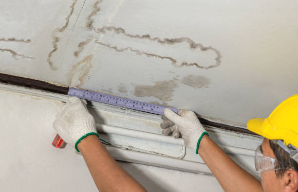 Reliable Flood Cleanup contractor in Auburn, NH by Water Damage Irwin